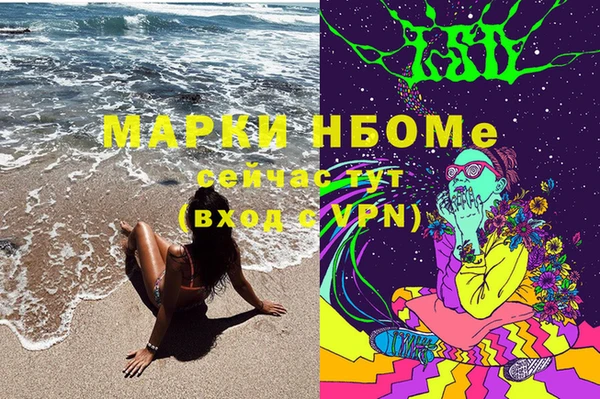 ешки Арсеньев