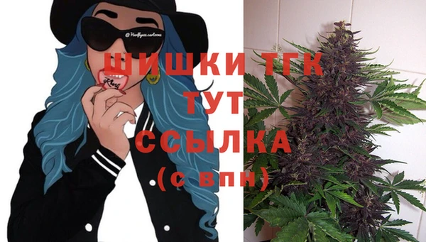 молекула духа Аркадак
