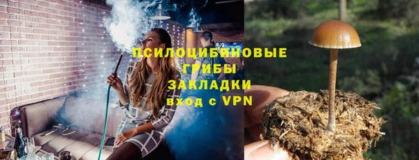 молекула духа Аркадак