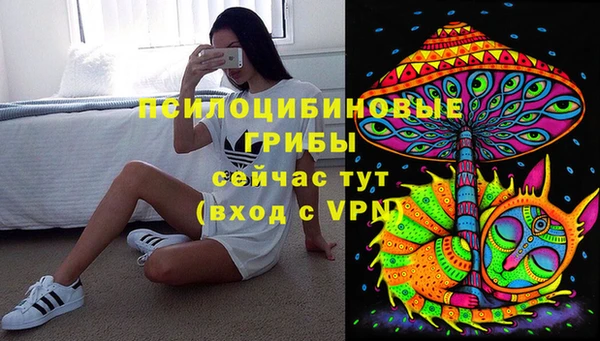 молекула духа Аркадак