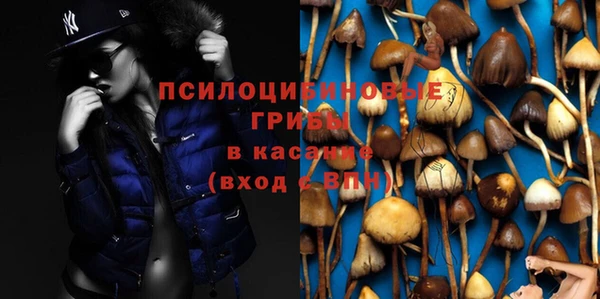 прущие крисы Армянск