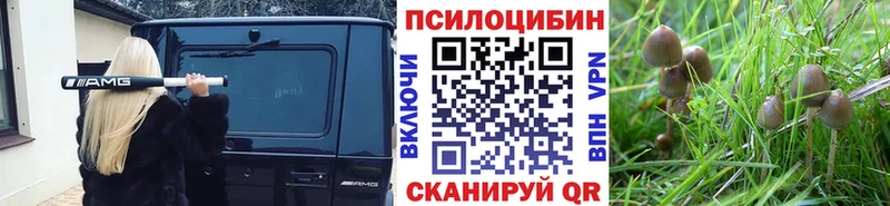 Галлюциногенные грибы GOLDEN TEACHER  Рыбное 